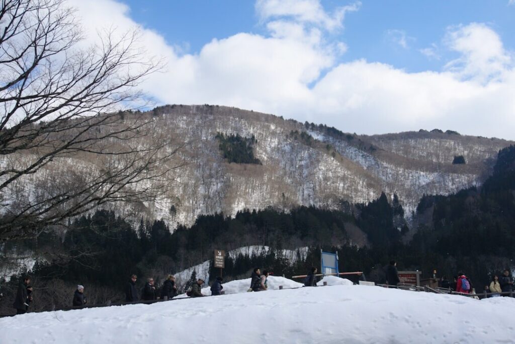 二世谷 Niseko 深雪粉雪滑雪,世界頂級乾粉雪體驗