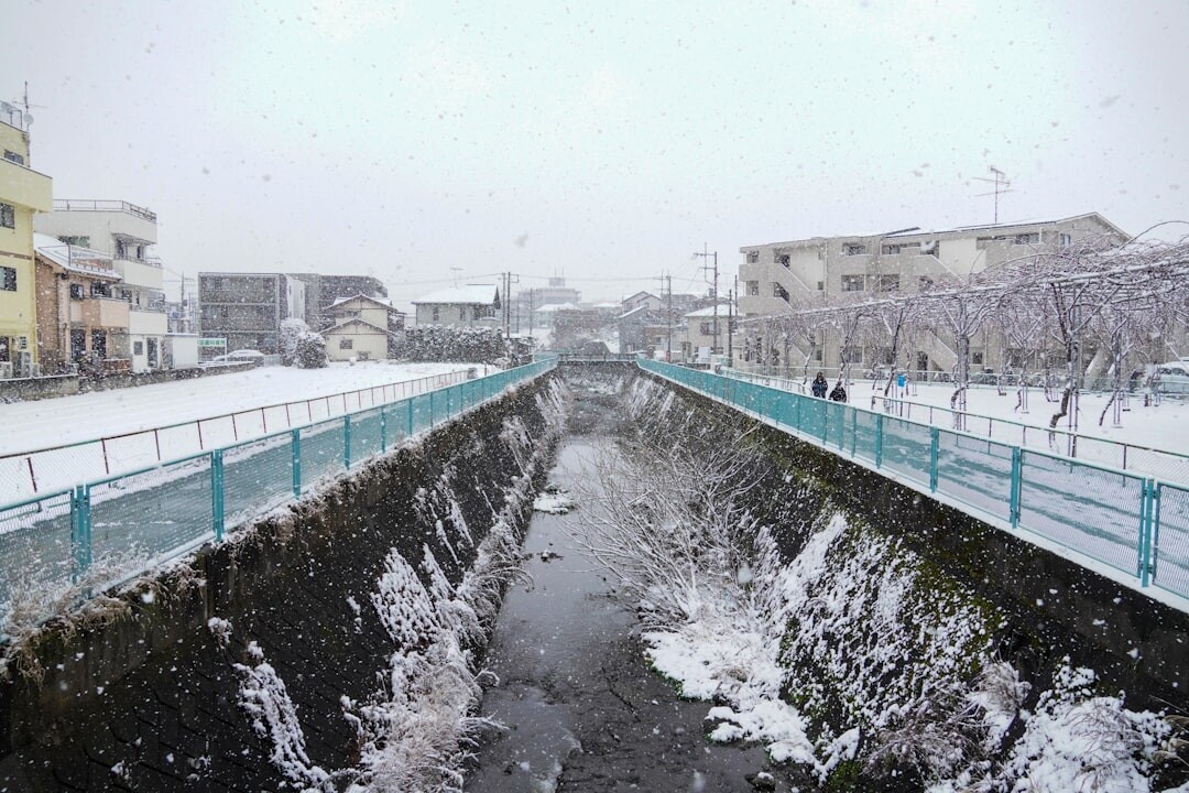 JR列車行駛在北海道雪原上,車窗外的冬季風景