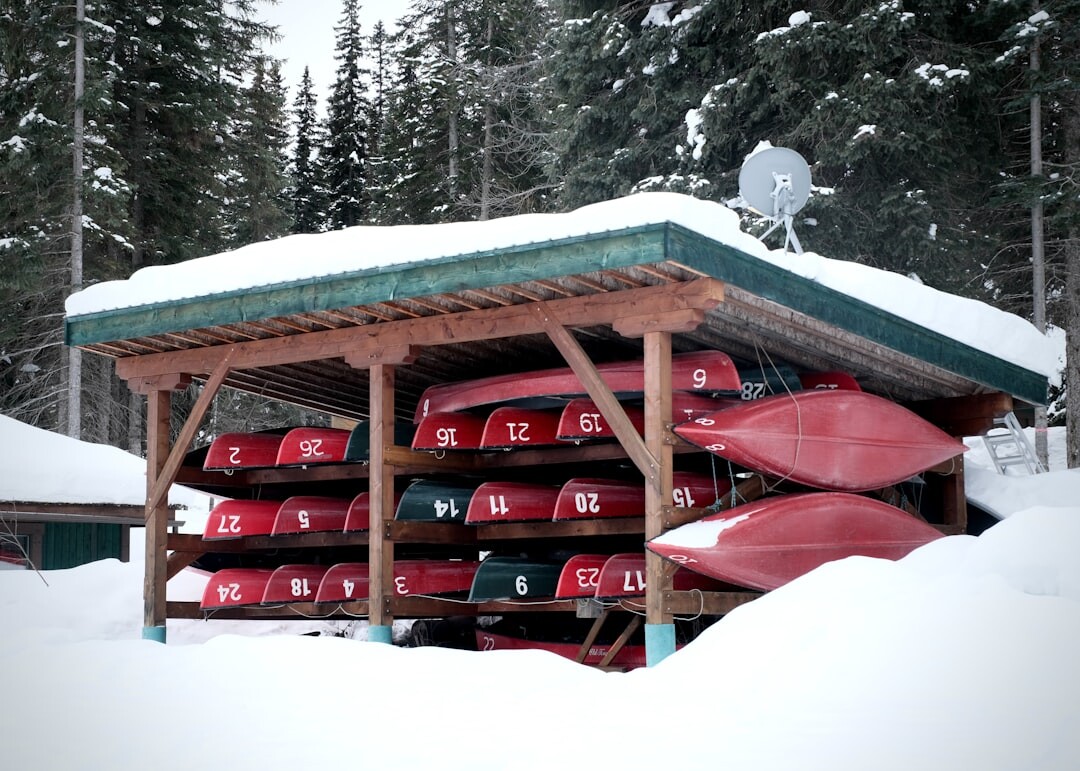 各種 Snowboard 雪板排列展示,不同板型和長度的選擇