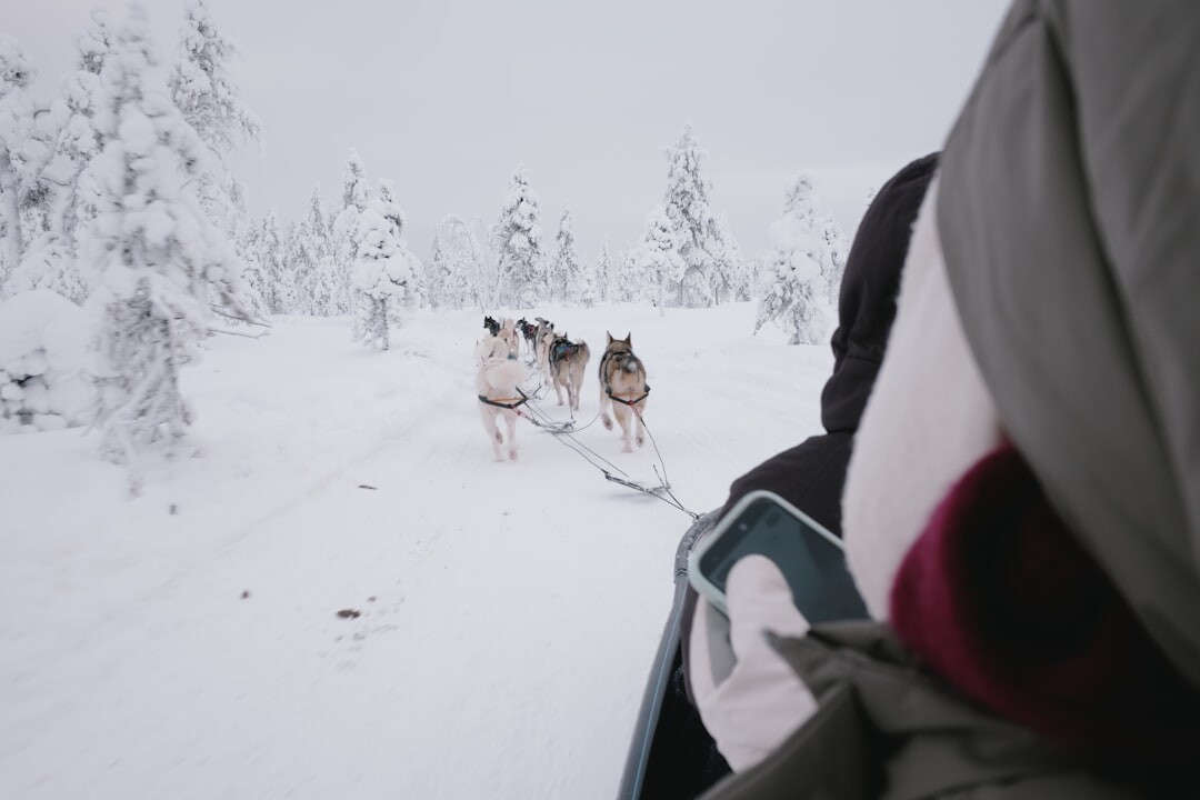 親子雪地玩耍，全家在雪地上開心遊戲
